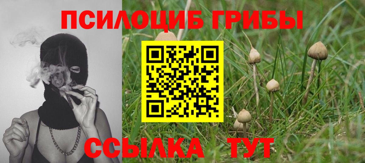 Кандалакша  цена наркотик  Вход с VPN  Псилоцибиновые грибы мухоморы  Галлюциногенные грибы мицелий 